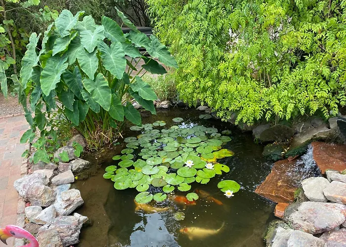 Relax At Artist's Secret Garden, Koi Pond & Jacuzzi, 4 Big Groups Holiday home