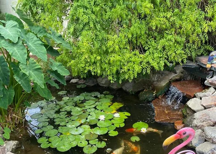 Relax At Artist's Secret Garden, Koi Pond & Jacuzzi, 4 Big Groups Holiday home *