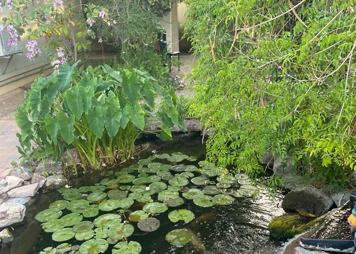 Relax At Artist's Secret Garden, Koi Pond & Jacuzzi, 4 Big Groups * Tucson