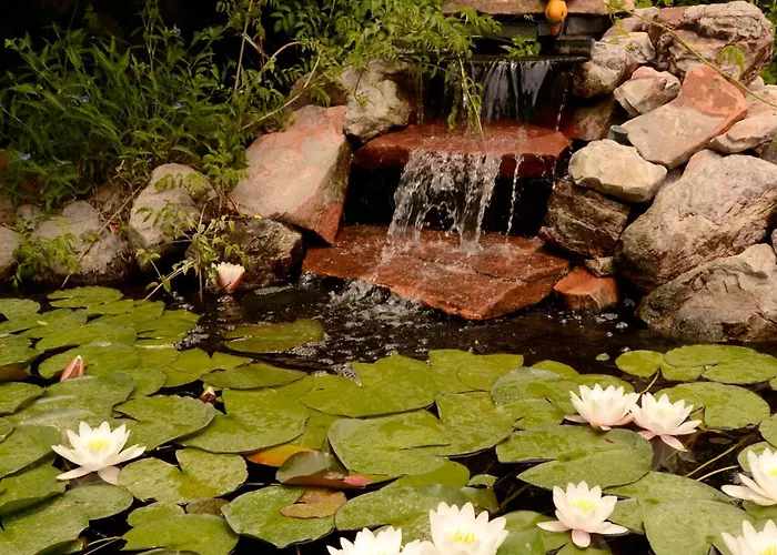 Relax At Artist's Secret Garden, Koi Pond & Jacuzzi, 4 Big Groups Holiday home *