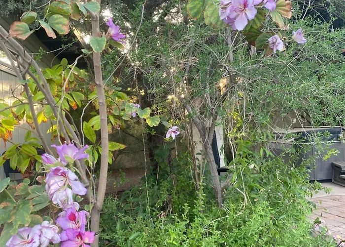 Holiday home Relax At Artist's Secret Garden, Koi Pond & Jacuzzi, 4 Big Groups *
