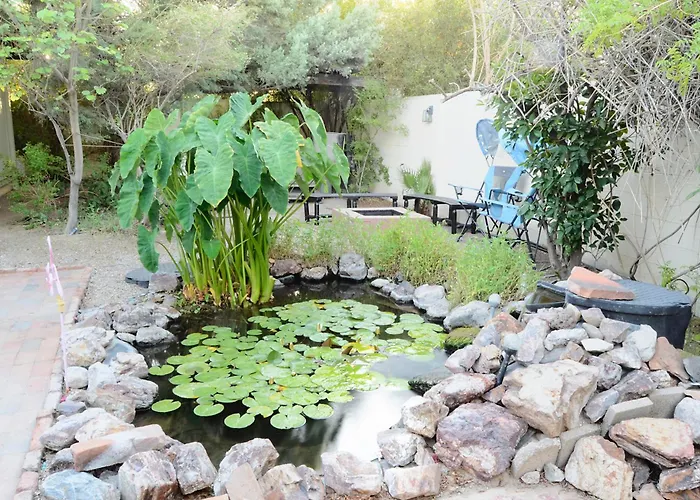 Relax At Artist's Secret Garden, Koi Pond & Jacuzzi, 4 Big Groups Tucson
